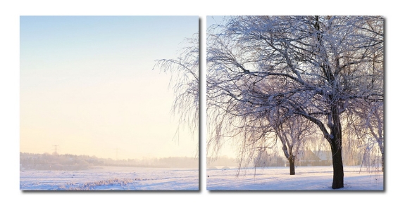 Baxton Studio Snowy Solitude Mounted Photography Print Diptych