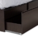 Baxton Studio Blaine Modern and Contemporary Dark Brown Finished Wood Queen Size 6-Drawer Platform Storage Bed - SEBED1302026-Modi Wenge-Queen