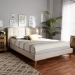 Baxton Studio Gretchen Modern and Contemporary Light Beige Fabric Upholstered and Walnut Brown Finished Wood Queen Size Platform Wingback Bed - BBT6917-Light Beige/Walnut-Queen