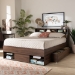 Baxton Studio Tristan Modern and Contemporary Walnut Brown Finished Wood 1-Drawer Queen Size Platform Storage Bed with Shelves - SEBED13017026-Columbia-Queen