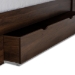Baxton Studio Tristan Modern and Contemporary Walnut Brown Finished Wood 1-Drawer Queen Size Platform Storage Bed with Shelves - SEBED13017026-Columbia-Queen