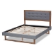 Baxton Studio Emele Modern Transitional Dark Grey Fabric Upholstered and Ash Walnut Brown Finished Wood Queen Size Platform Bed - Emele-Dark Grey/Ash Walnut-Queen