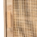 Baxton Studio Maclean Mid-Century Modern Rattan and Natural Brown Finished Wood 1-Door End Table - LYA20-104-Natural-ET