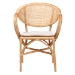 bali & pari Varick Modern Bohemian Natural Brown Finished Rattan Dining Chair - RCN001-Rattan-DC