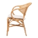 bali & pari Varick Modern Bohemian Natural Brown Finished Rattan Dining Chair - RCN001-Rattan-DC