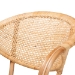 bali & pari Varick Modern Bohemian Natural Brown Finished Rattan Dining Chair - RCN001-Rattan-DC