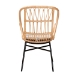 bali & pari Caelia Modern Bohemian Natural Brown Rattan and Black Metal Chair - RMC033-Rattan-DC