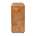 bali & pari Valora Modern and Contemporary Natural Mappa Real Burl Wood 2-Door Console Cabinet - SVN-1308B-Natural Burl-Nebu-2DR-Cabinet