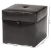 Baxton Studio Sydney Brown Modern Ottoman - Storage Ottoman  - XB-01-dark brown