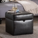 Baxton Studio Sydney Brown Modern Ottoman - Storage Ottoman  - XB-01-dark brown