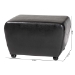 Baxton Studio Black Full Leather Ottoman with Rounded Sides - Y-051-023-black