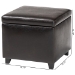 Baxton Studio Dark Brown Full Leather Small Storage Cube Ottoman - Y-162-001-dark brown